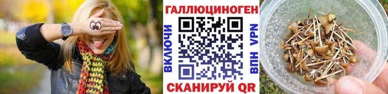 Галлюциногенные грибы прущие грибы  сайты даркнета телеграм  Пролетарск 